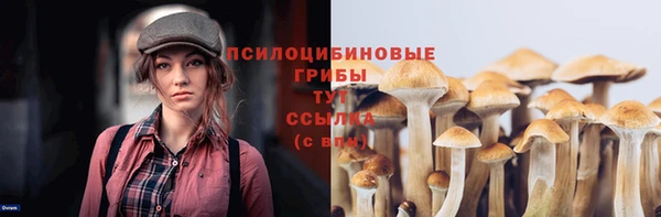 дурь Арсеньев