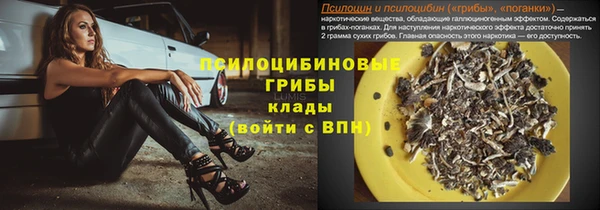 дурь Арсеньев